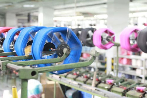 五折來(lái)咯 你的夏天一定需要ta