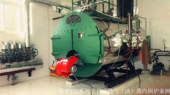 金信達鍋爐公司隆重推出新型能源及清潔燃料鍋爐 高效.環(huán)保.智能運行.省心省力